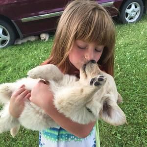 Meet your Posher, Danielle